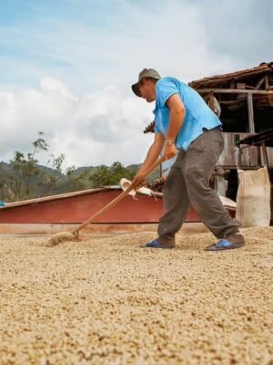 Colombia Finca La Granada
