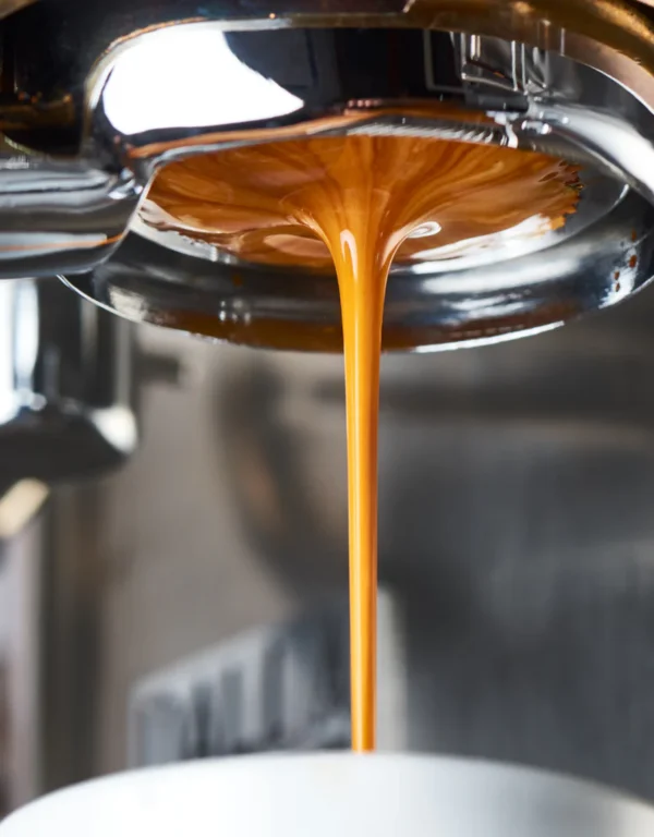 Espresso Blend Anastazio